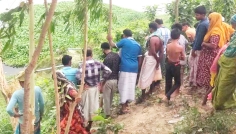 সিরাজগঞ্জে বৃদ্ধ অটোভ্যান চালককে হত্যা, যানবাহন ছিনতাই