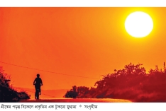 মুগ্ধতায় গ্রীষ্মের রূপ-প্রকৃতি  