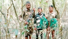 সুন্দরবনে দুই দিনে ৮৩টি হরিণ শিকারের ফাঁদ জব্দ