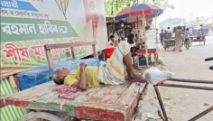 তাপদাহে বিপর্যস্ত ঈশ্বরদীর জনজীবন, কৃষি ও প্রাণী খাতে শঙ্কা