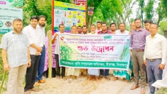 বীরগঞ্জে সজিনা চাষ সম্প্রসারণে রোপণ কার্যক্রমের উদ্বোধন