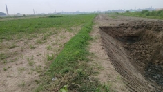 সিরাজদিখানে ভেকু দিয়ে ফসলি জমির মাটি কেটে বিক্রির অভিযোগ