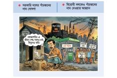 জ্বালানি সংকট নিরসনে সরকারি ও বিরোধী দলের সমন্বয়ে কমিটি  