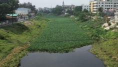 সিরাজগঞ্জে খননের অভাবে ১১০ মরা খাল, হুমকিতে জীববৈচিত্র্য