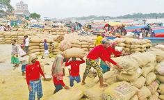 দেশের বৃহত্তম ধানের বাজার ব্রাহ্মণবাড়িয়ার আশুগঞ্জ মোকাম 