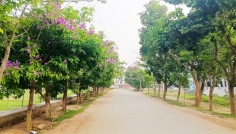 গাছ না কেটে বিকল্প পরিকল্পনার দাবি নজরুল বিশ্ববিদ্যালয়ের শিক্ষার্থীদের