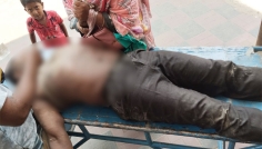 চুয়াডাঙ্গায় মৌমাছির কামড়ে নৈশ প্রহরীর মৃত্যু