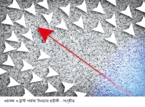 ইসলামে ওয়াকফ ও ট্রাস্ট 