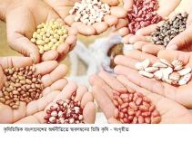 স্বাবলম্বী জীবনই সফল জীবন 