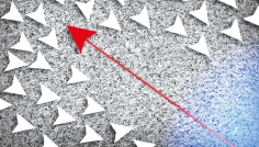 ইসলামে ওয়াকফ ও ট্রাস্ট