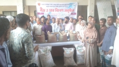 বোয়ালখালীতে কৃষকদের মাঝে আউশ প্রণোদনার বীজ-সার বিতরণ