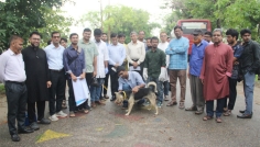 নজরুল বিশ্ববিদ্যালয়ে কুকুরের এন্টি-র‌্যাবিস টীকাদান কর্মসূচি শুরু
