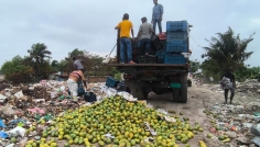 সাতক্ষীরায় কেমিক্যাল মিশ্রিত ৯ হাজার কেজি আম জব্দ করেছে পুলিশ