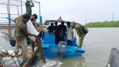 শ্যামনগরে জব্দকৃত ৫০ বস্তা শামুক সুন্দরবনের নদীতে অবমুক্ত