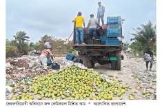 সাতক্ষীরায় কেমিক্যাল মিশ্রিত ৯ হাজার কেজি আম জব্দ  
