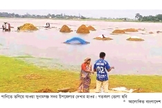 সুনামগঞ্জে পানিতে তলিয়ে গেছে কৃষকের স্বপ্ন  