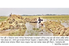 বিপৎসীমার ওপরে ৫ নদীর পানি, ৫ জেলায় বন্যার আভাস  