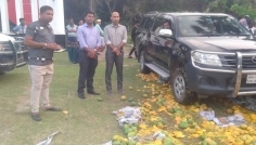 দেবহাটায় ৪৮ ক্যারেট কেমিক্যাল মেশানো আম বিনষ্ট