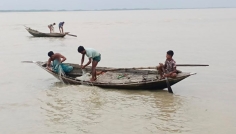 মধ্যরাত থেকে মেঘনা-তেঁতুলিয়ায় ইলিশ শিকারে নামবে ২ লক্ষ জেলে