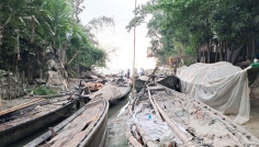 নিষেধাজ্ঞা শেষে মেঘনা পাড়ে ইলিশ শিকারে ফিরছেন জেলেরা