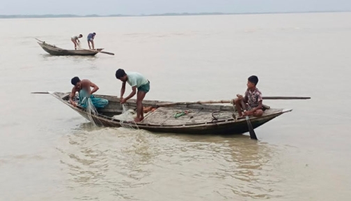 মধ্যরাত থেকে মেঘনা-তেঁতুলিয়ায় ইলিশ শিকারে নামবে ২ লক্ষ জেলে