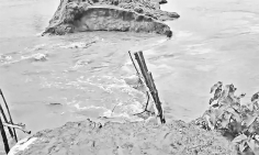 নগর স্বাস্থ্যসেবার পুনর্বিন্যাস : ধারাবাহিকতা রক্ষা ও অর্জিত অভিজ্ঞতার মূল্যায়ন প্রয়োজন  