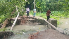 মির্জাগঞ্জে সড়ক ভেঙে কৃষি জমি প্লাবিত, বিচ্ছিন্ন যোগাযোগ ব্যবস্থা