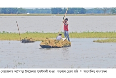 পানিতে ভেসে গেছে কৃষকের স্বপ্ন, হাওর পাড়ে হাহাকার  