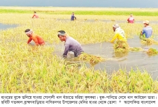 ক্ষতিগ্রস্ত কৃষকদের তালিকা প্রণয়নে সতর্ক থাকতে হবে  