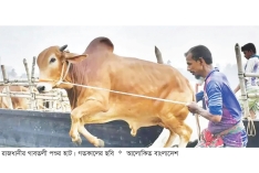 পশুর হাটে জাল নোট শনাক্তে বুথ বসাতে ব্যাংকগুলোকে নির্দেশ  