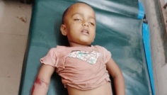 জীবননগরে ইজিবাইকের ধাক্কায় শিশু রোজার মৃত্যু