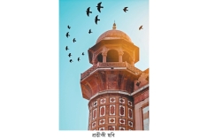 যেভাবে বাবা হলেন ইবরাহিম (আ.)  