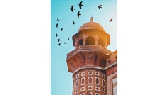 যেভাবে বাবা হলেন ইবরাহিম (আ.)