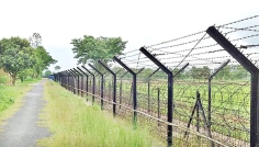 লালমনিরহাট সীমান্তে যুবকের মৃত্যু, দায় অস্বীকার বিএসএফের