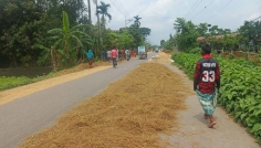 ঈশ্বরগঞ্জে সড়ক দখল করে ধান শুকানোর হিড়িক, দুর্ঘটনার ঝুঁকি