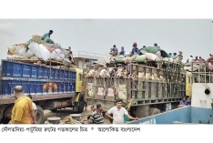 দৌলতদিয়া-পাটুরিয়া নৌরুটে গরুবাহী গাড়ির চাপ বৃদ্ধি  