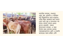 লাভের আশা পশু ব্যবসায়ীদের  