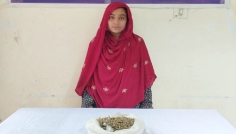 আলমডাঙ্গায় ৫০০ গ্রাম গাঁজাসহ নারী আটক