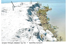 তিস্তায় ভাঙন, ঝুঁকিতে স্বেচ্ছাশ্রমে গড়া বাঁধ  