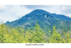 রাঙামাটিতে ৩৭২.৬১ একর বনভূমি উদ্ধার  