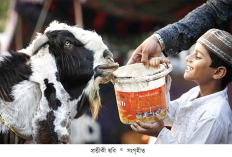 কোরবানি নিয়ে যা না জানলেই নয়  