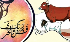 কোরবানি কেন করব  