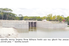 লবণ পানিতে শত শত একর জমি প্লাবিত, স্লুইচগেট চালুর দাবি কৃষকদের  