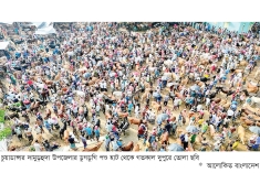 চুয়াডাঙ্গায় কোরবানির জন্য প্রস্তুত ২ লাখ ২ হাজার গবাদিপশু  