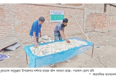 মাছের আঁশ রপ্তানি করে উপার্জিত হচ্ছে বৈদেশিক মুদ্রা  