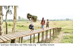 কৃষকের ফসল পারাপারে কাঠের ব্রিজ নির্মাণ  