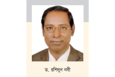 ‘নজরুল পুরস্কার’ পাচ্ছেন অধ্যাপক ড. রশিদুন নবী  