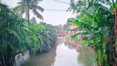 রংপুরে কয়েক ঘণ্টার বৃষ্টিতে নগরীর সড়ক ও নিম্নাঞ্চল প্লাবিত