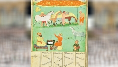 পার্থিব জীবনের ধর্ম