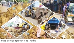 পশুর বর্জ্য যত্রতত্র ফেলা নিষেধ  